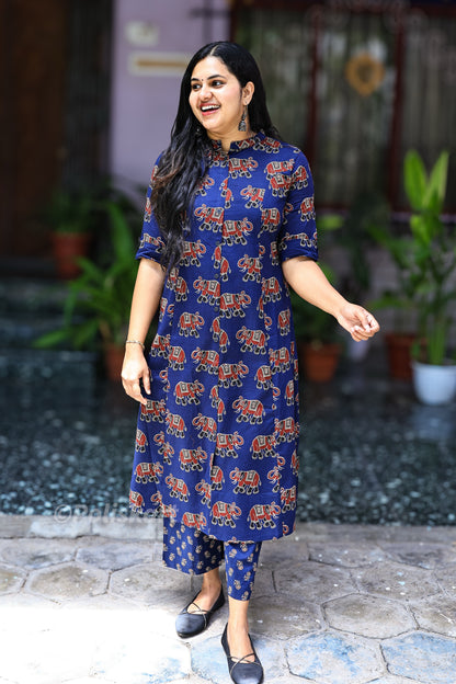 Neelvani Elephant print blue pure cotton co-ord set