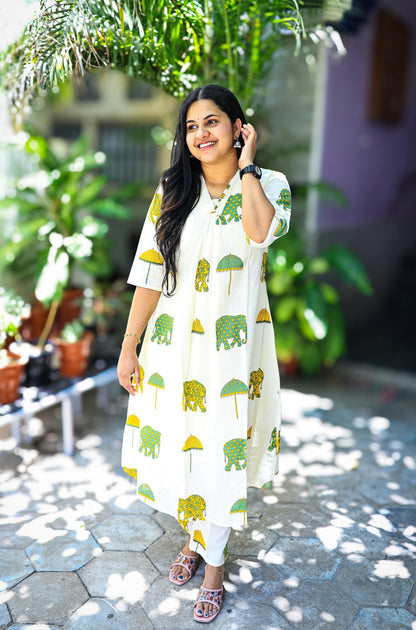 Sreekala - Elephant print cotton co-ord set with lining